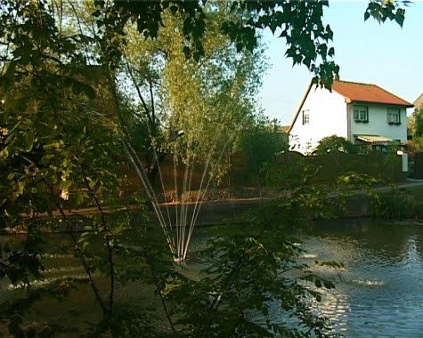 Hofteich